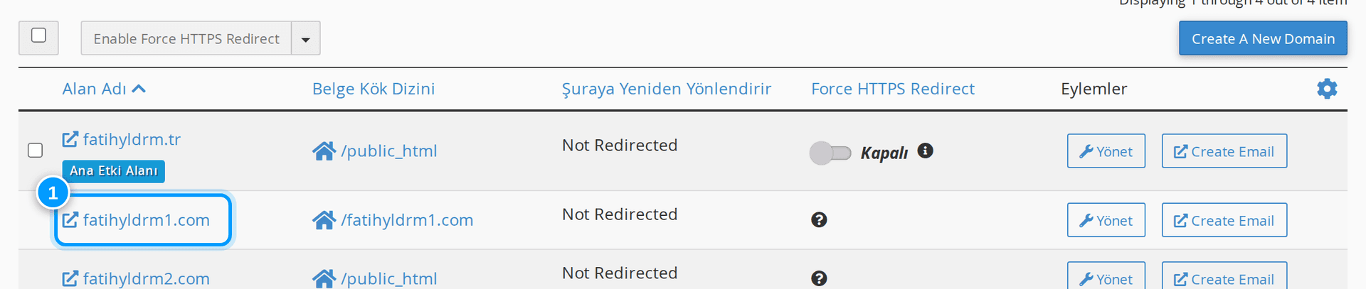cPanel alan adları listesi