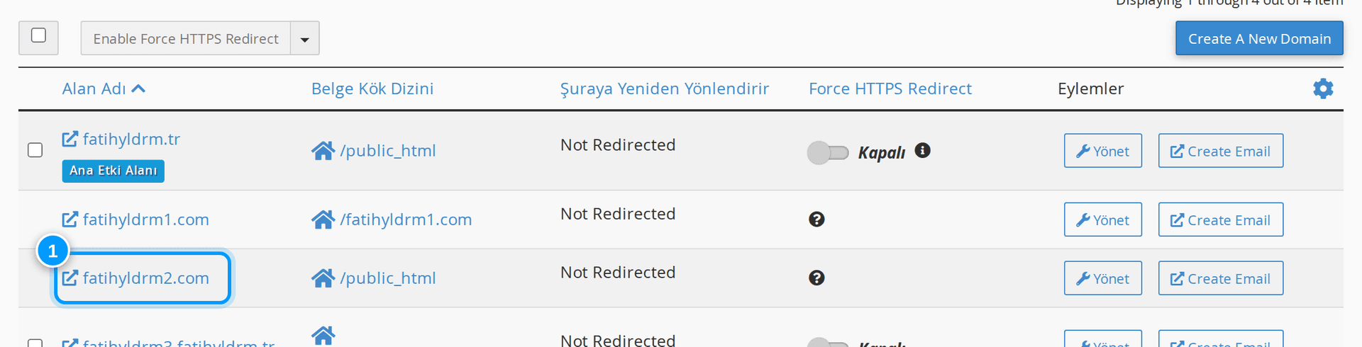 cPanel alan adları listesi