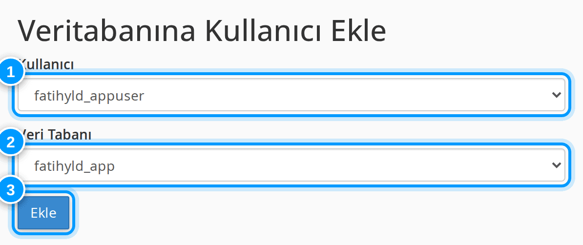 cPanel kullanıcıyı veritabanına ekle