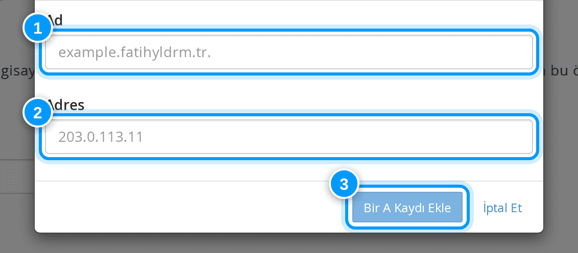 cPanel A kaydı ekleme formu