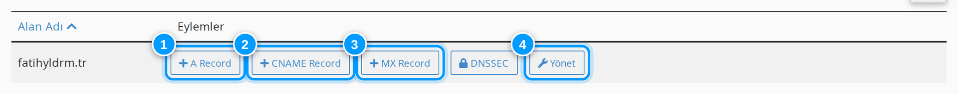 cPanel Bölge Editörü alan adı listesi