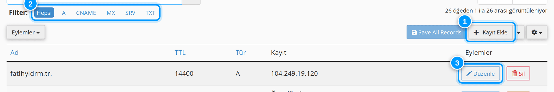 cPanel Bölge kayıtları yönetim ekranı