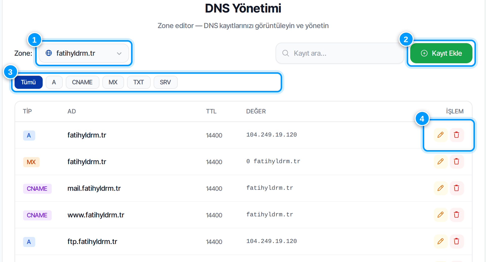 DNS Yönetimi ekranı