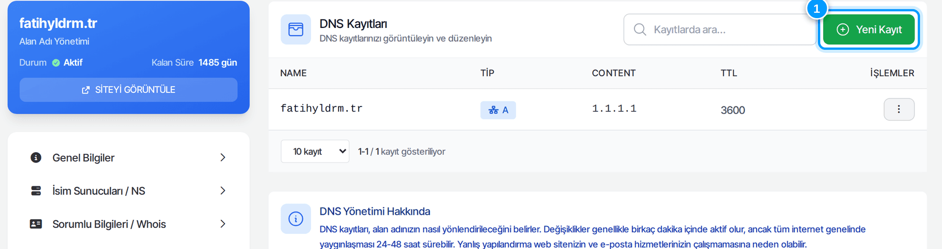 DNS kayıtları listesi