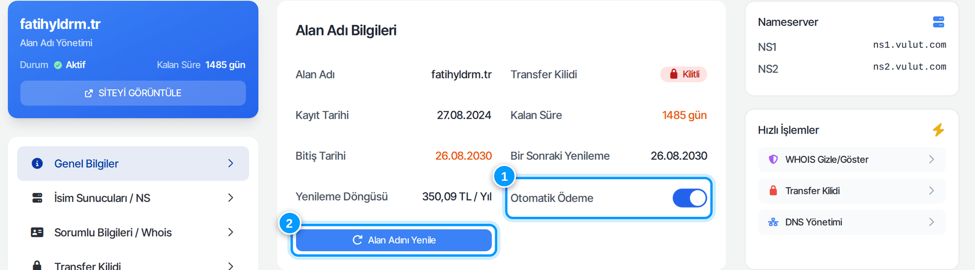 Alan adı genel bilgiler ekranı