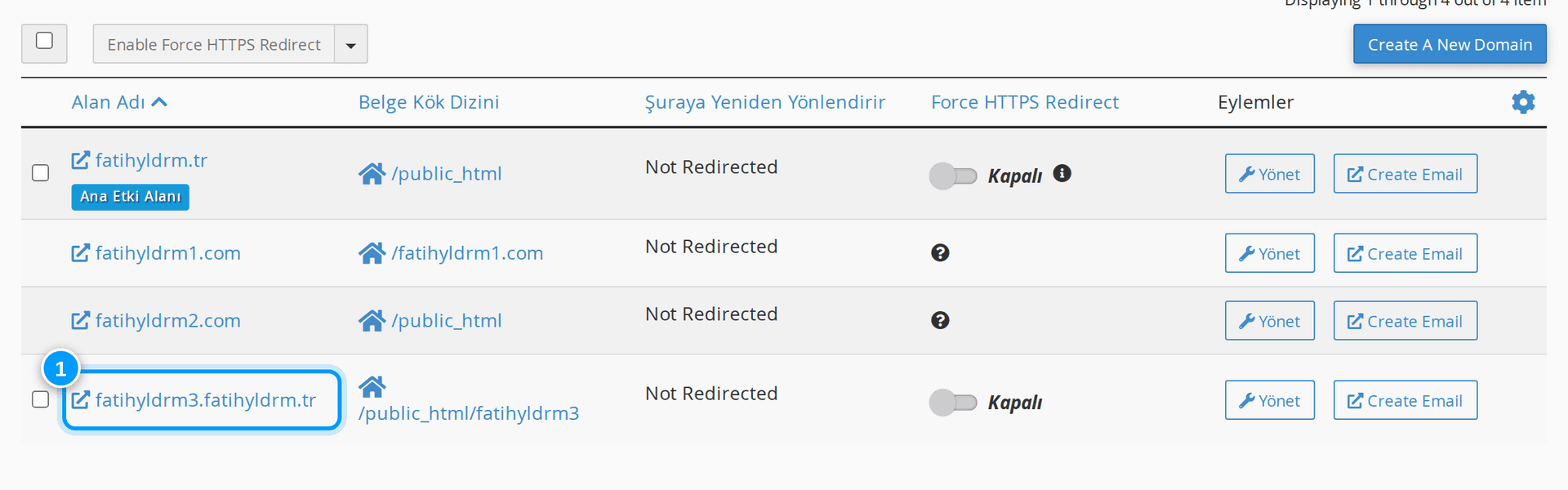 cPanel alan adları listesi