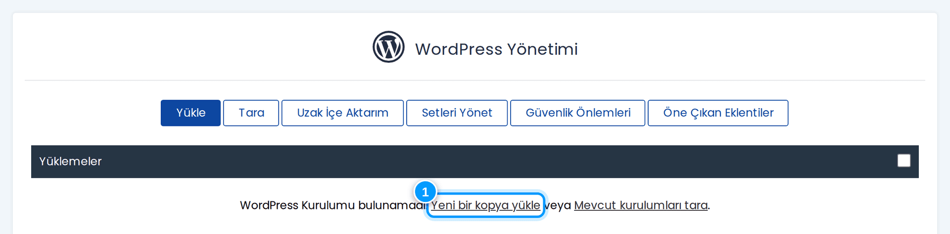Softaculous WordPress Yönetimi